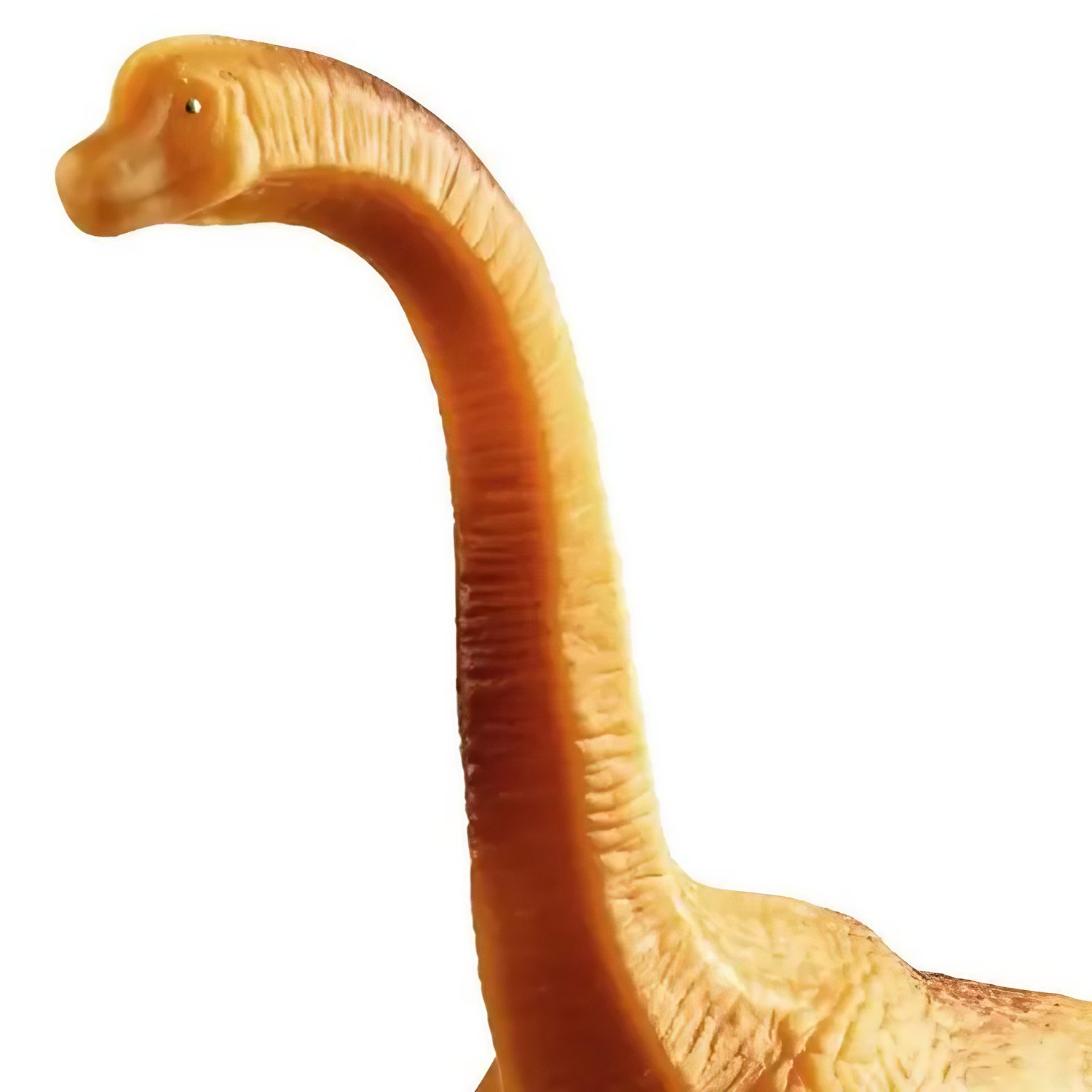 Dinossauro Braquiossauro Laranja Cometa Dinossauro Braquiossauro Laranja Cometa