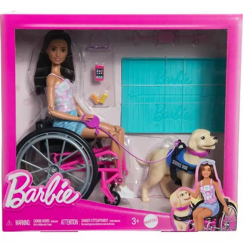 Boneca Barbie Cadeirante Com Pet Cachorro Mattel