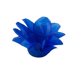 Forminha Estrela Do Mar Azul Turquesa C/20 Unidades Decora Doces