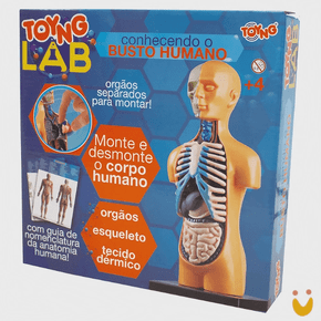 Kit Médico Busto Corpo Humano Toyng