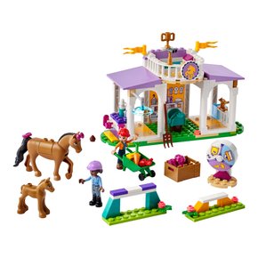 Lego Friends Treinamento de Cavalos 134 Peças
