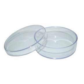 Mini Latinha Transparente C/10 Unidades Mirandinha