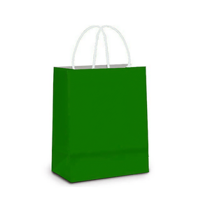 Sacola De Papel Verde Bandeira 18x09x24cm C/10 Unidades