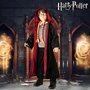 Boneco Harry Potter Articulado 45cm Rosita Boneco Harry Potter Articulado 45cm Rosita