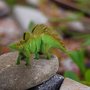 Dinossauro Estegossauro Verde Cometa Dinossauro Estegossauro Verde Cometa