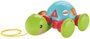 Fisher Price Empurra Tartaruga Mattel