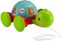 Fisher Price Empurra Tartaruga Mattel