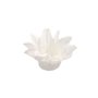 Forminha Estrela Do Mar Branco C/20 Unidades Decora Doces