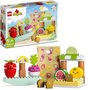 Lego Duplo Mercado de Produtos Orgânicos 40 Peças