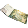 Livro Caçadores De Tesouro Happy Books