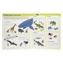Livro Animais Levante & Descubra
