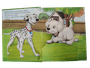 Livro Pop-Ups Incríveis Animais de Estimação Happy Books