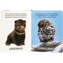 Livro Toque e Sinta II Animais Filhotes Happy Books