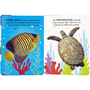 Livro Toque e Sinta II Animais Marinhos Happy Books