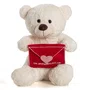 Urso de Pelúcia Com Cartinha 30cm Brumar