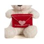 Urso de Pelúcia Com Cartinha 30cm Brumar